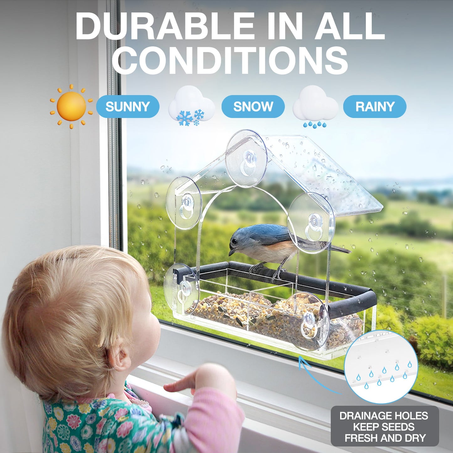 Livhil Window Bird Feeders with Strong Suction Cups, Bird Feeder Window