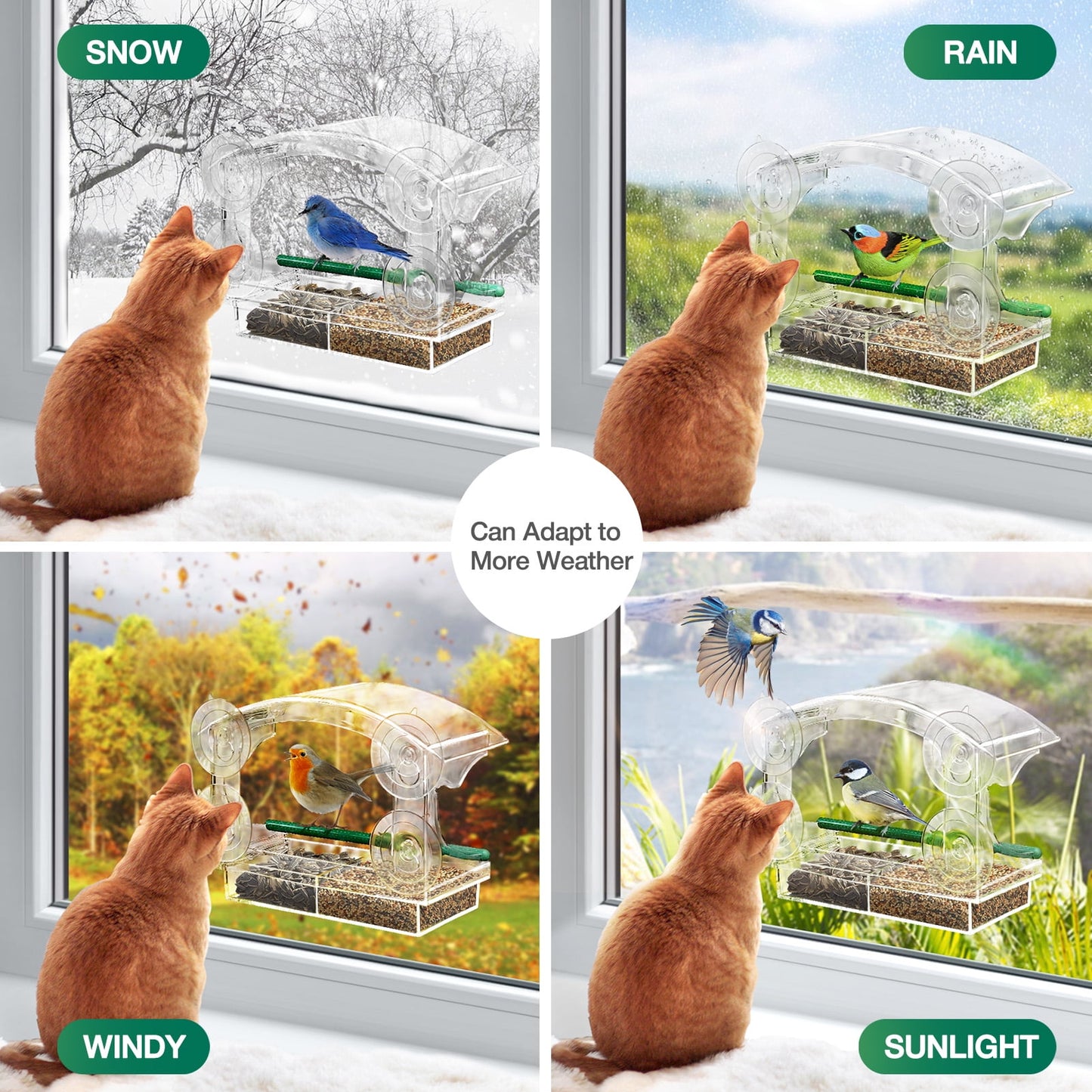 Livhil Window Bird Feeders with Strong Suction Cups, Outside Bird Window Feeder
