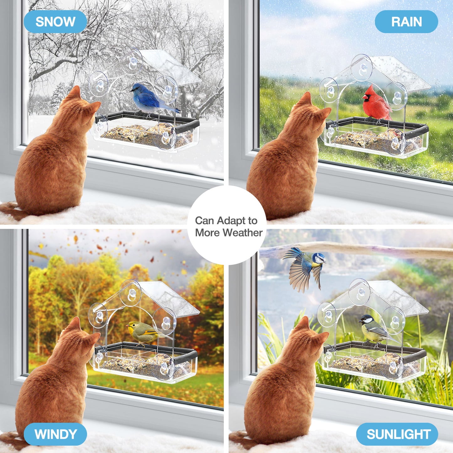 Livhil Window Bird Feeders with Strong Suction Cups, Bird Feeder Window