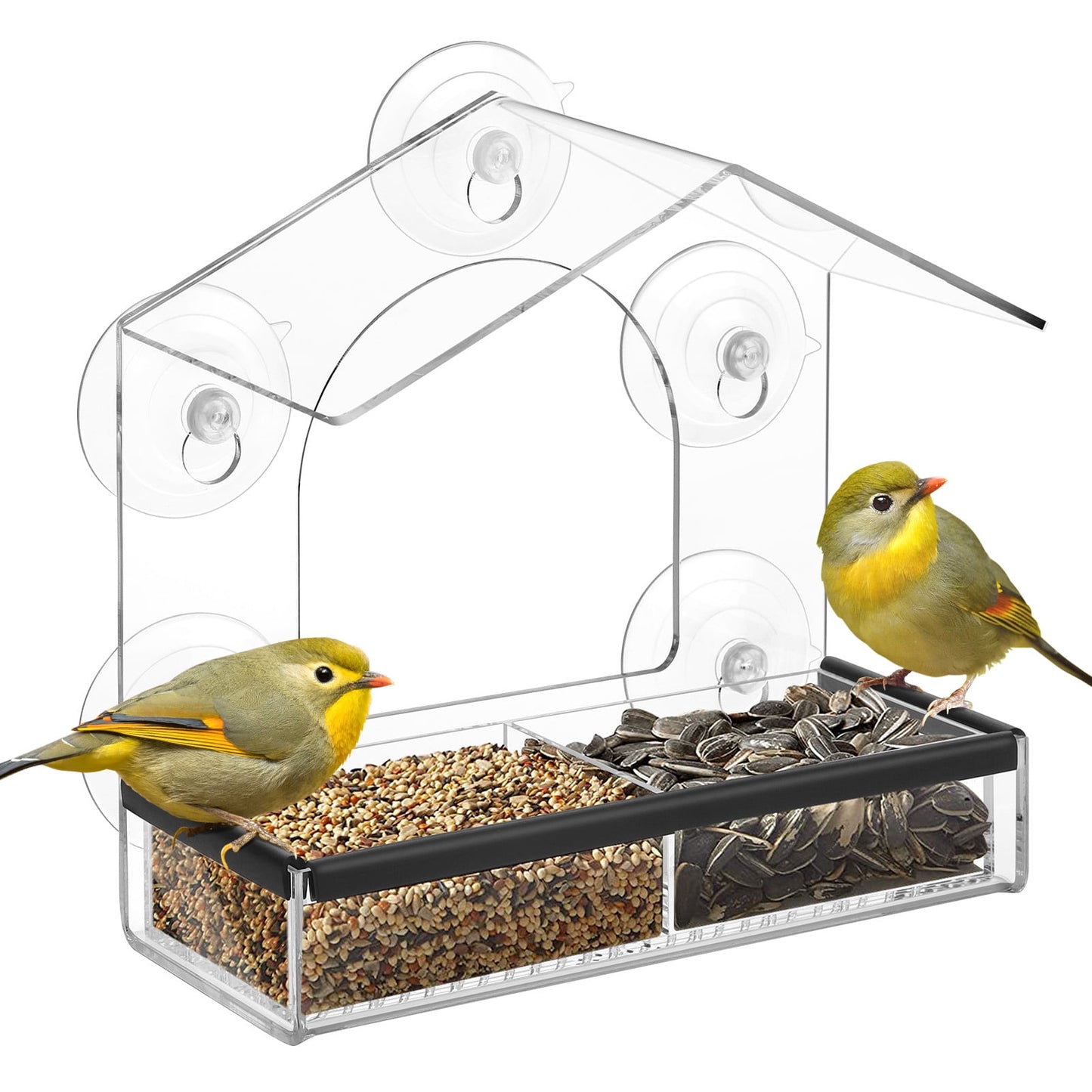 Livhil Window Bird Feeders with Strong Suction Cups, Bird Feeder Window