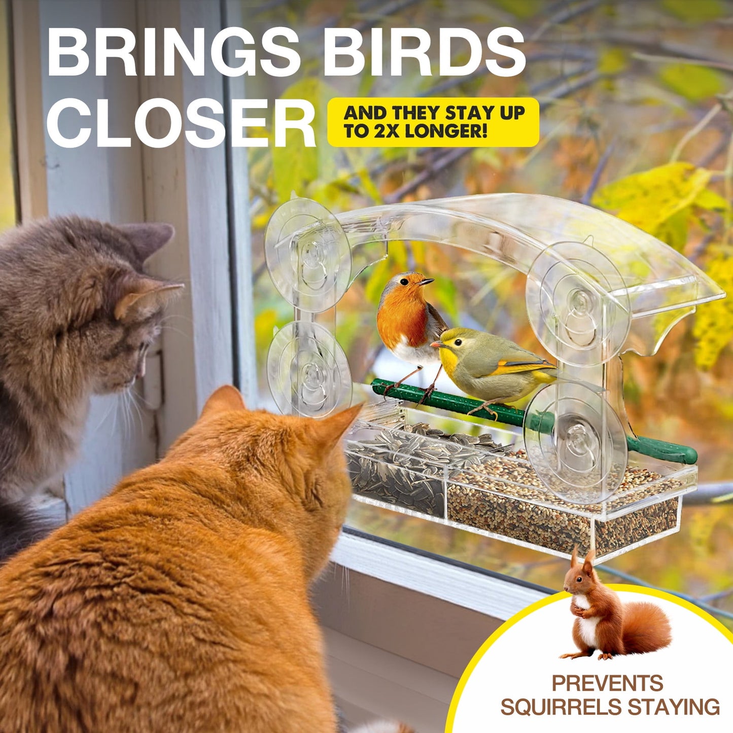 Livhil Window Bird Feeders with Strong Suction Cups, Outside Bird Window Feeder