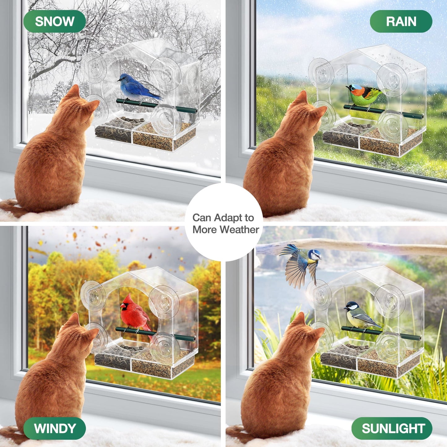 Livhil Window Bird Feeders with Strong Suction Cups, Outside Bird Window Feeder